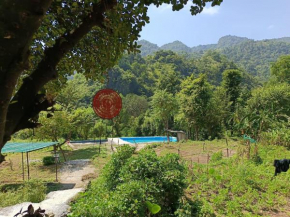 Rummy Dummy homestay & farms